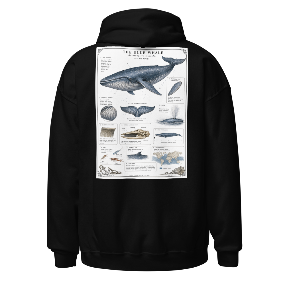 Cozy Classic Unisex Hoodie | The Blue Whale