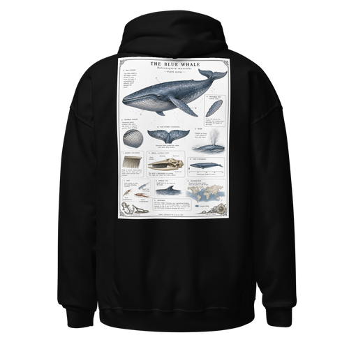 Cozy Classic Unisex Hoodie | The Blue Whale
